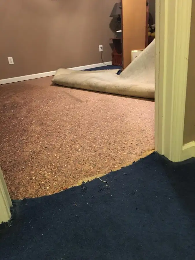 Carpet pad removal revealing water damage during Drying & Dehumidification in Tumwater