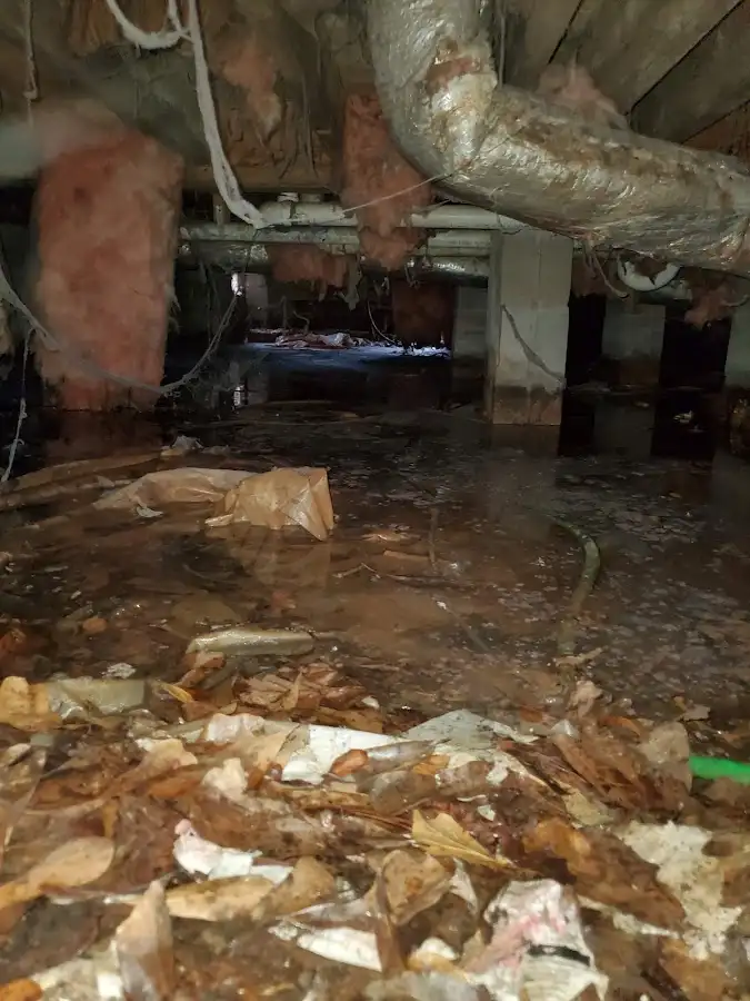 Crawl space flood assessment for Leak Detection & Repair in Tumwater
